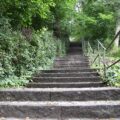 これからあなたの成長が促されるのはどの分野？